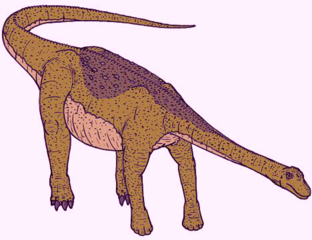 Nemegtosaurus Dinosaur