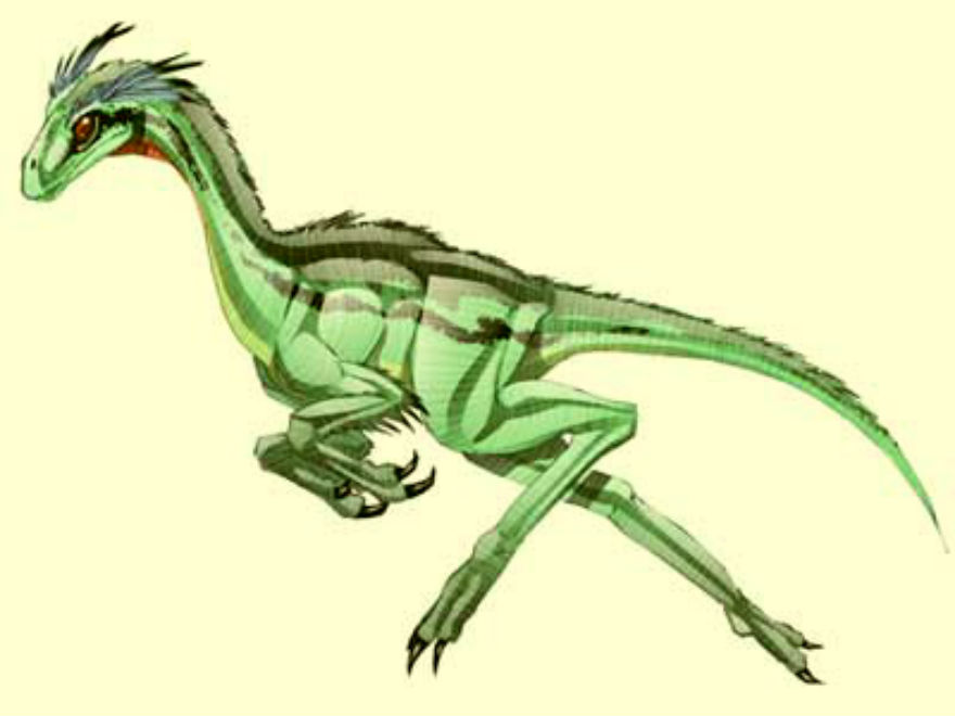 Rinconsaurus Dinosaur