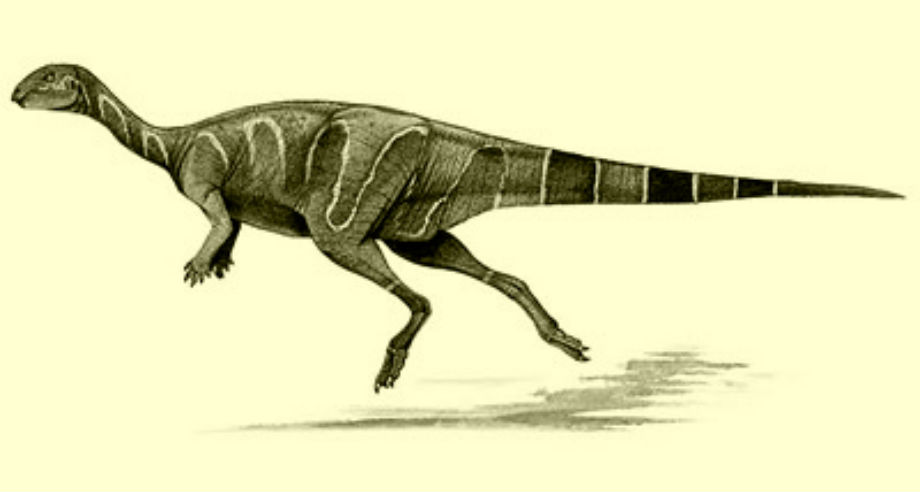 Valdosaurus Dinosaur