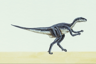 Yandusaurus Dinosaur