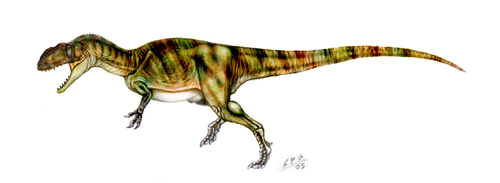 Yangchuanosaurus Dinosaur