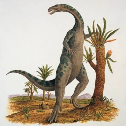 >Yunnanosaurus Dinosaur