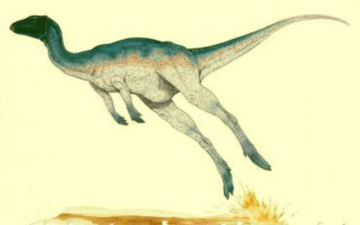 Yangchuanosaurus Dinosaur