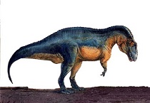 Acrocanthosaurus dinosaur