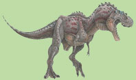 Microraptor