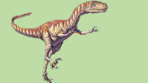Deinonychus 
