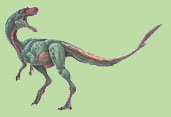 Dimorphodon