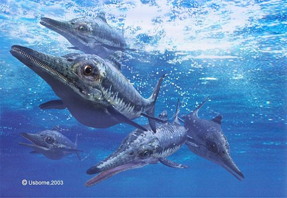 ichthyosaurus1 jpg