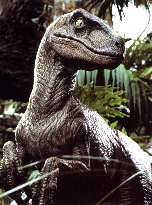 http://www.rareresource.com/photos/dino%20pictures/velociraptor.jpg