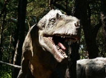 Eotyrannus dinosaur