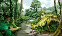 Diplodocus dinosaur