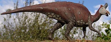 Diplodocus dinosaur