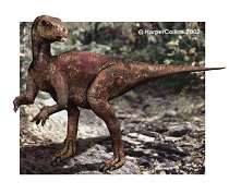Hypsilophodont dinosaur
