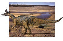 Leptoceratops dinosaur