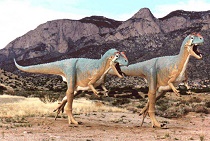 Maiasaurus dinosaur