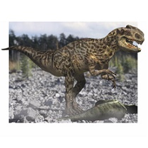 Muttaburrasaurus dinosaur