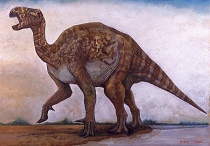 Nyctosaurus dinosaur