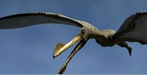 Ornithocheirus dinosaur