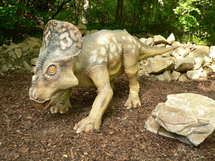 ¡Feliz cumple MetaCheto! Protoceratops111