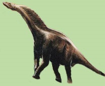 Amargasaurus dinosaur