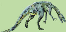 chirostenotes
