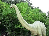 aptosaurus dinosaur