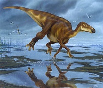 Hadrosaur dinosaur
