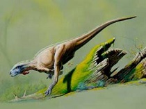 Orodromeus dinosaur