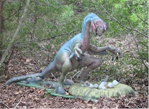 Oviraptor dinosaur