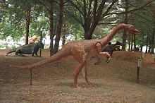 Oviraptor dinosaur