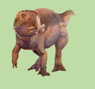 psittacosaurus