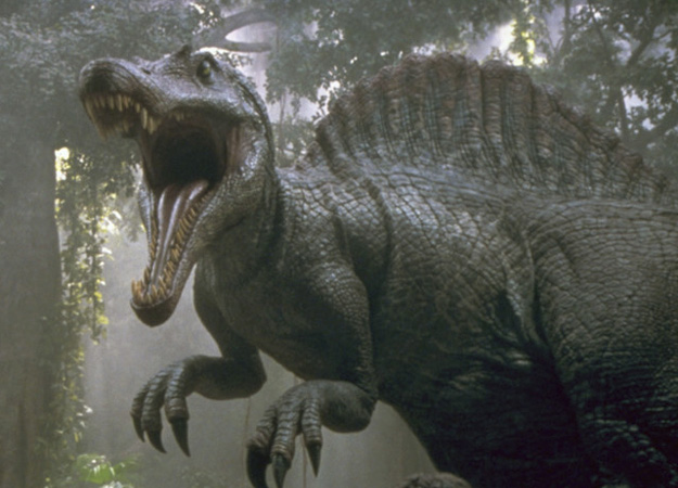 http://www.rareresource.com/photos/dinosaur-gallery/spinosaurus-dinosaur-picture.jpg