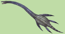 Plesiosaurus