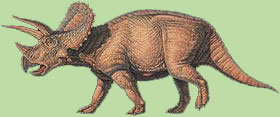 Triceratops 