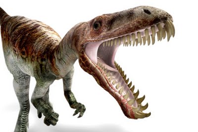 Dinosaur teeth