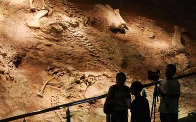 Famous dinosaur fossil hunters