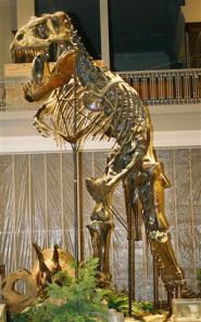Dinosaur skeleton to auction for $6-8m