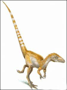 Dinosaur had ginger feathers