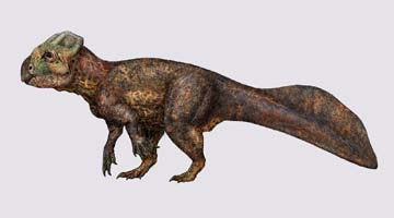 Koreaceratops 