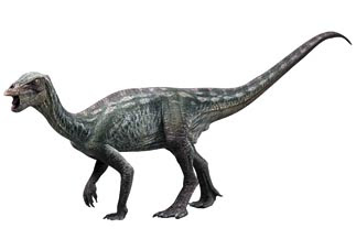 Koreanosaurus Dinosaur