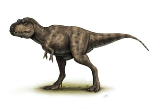 Kundurosaurus Dinosaur