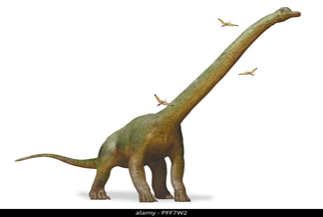 Lapparentosaurus Dinosaur