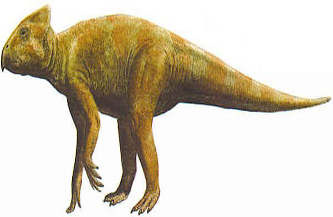 Leptoceratops 