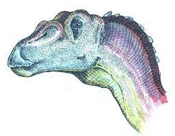  Nanyangosaurus dinosaurs