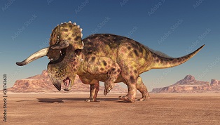  Nasutoceratops dinosaurs