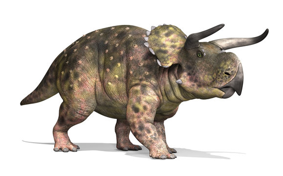 Nasutoceratops dinosaurs