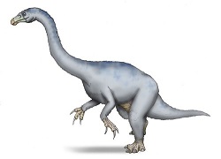  Adeopapposaurus dinosaurs