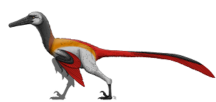  Neuquenraptor dinosaurs