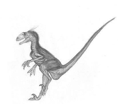 Neuquenraptor dinosaurs