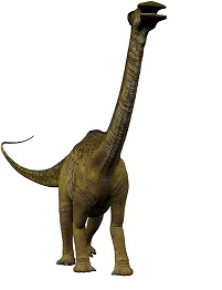 Nigersaurus dinosaurs